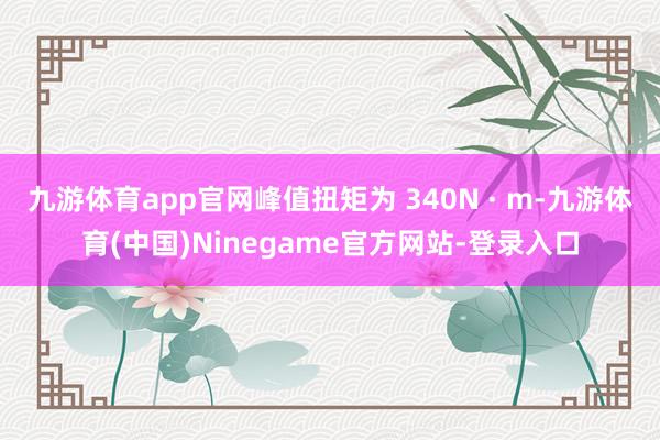 九游体育app官网峰值扭矩为 340N · m-九游体育(中国)Ninegame官方网站-登录入口