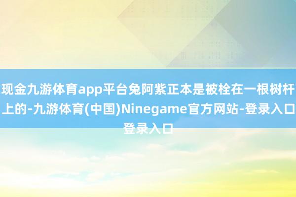 现金九游体育app平台兔阿紫正本是被栓在一根树杆上的-九游体育(中国)Ninegame官方网站-登录入口