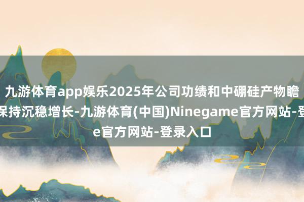 九游体育app娱乐2025年公司功绩和中硼硅产物瞻望络续保持沉稳增长-九游体育(中国)Ninegame官方网站-登录入口